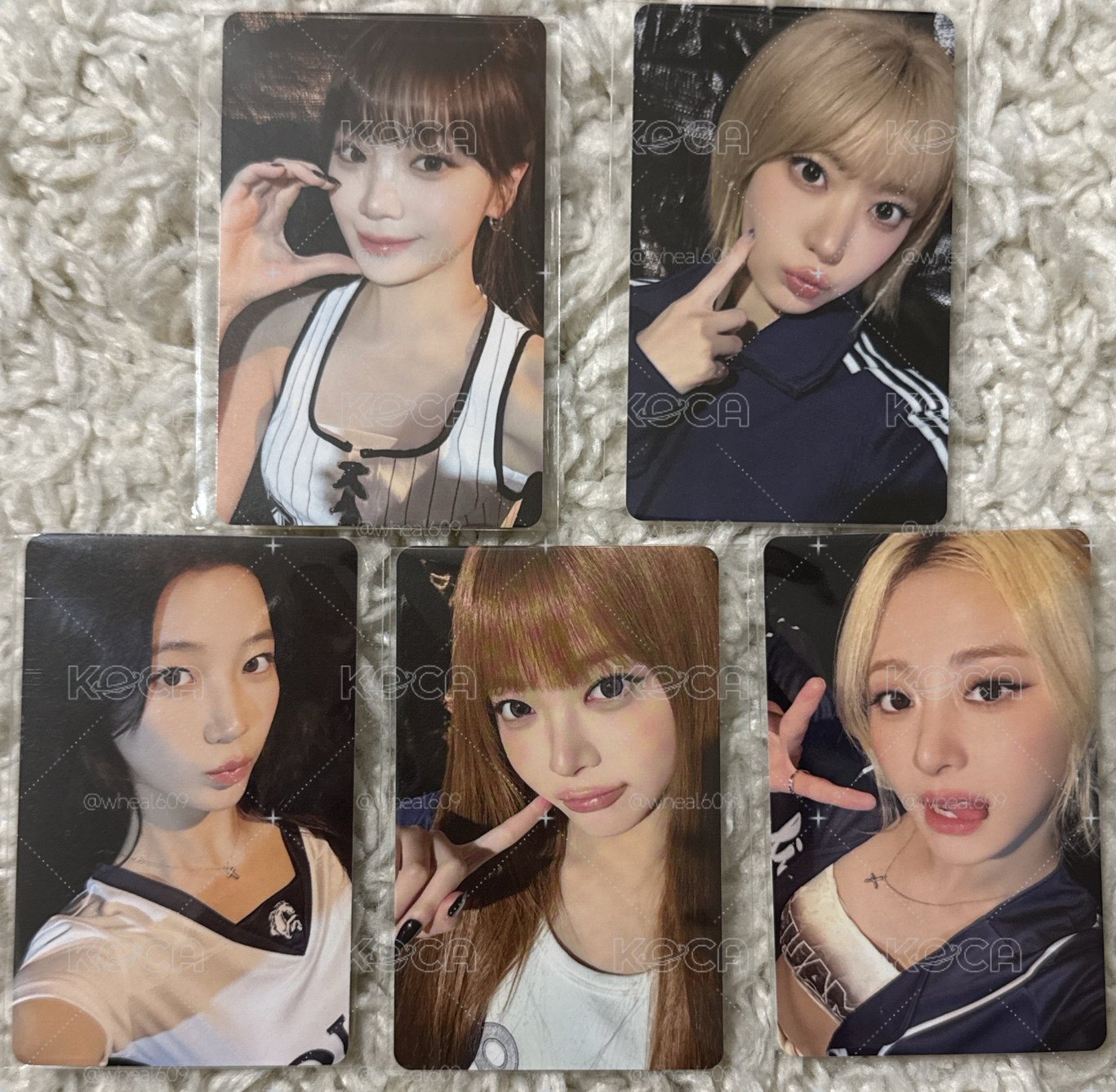 [現貨99] WVS 硬幣特典卡 一套/拆售