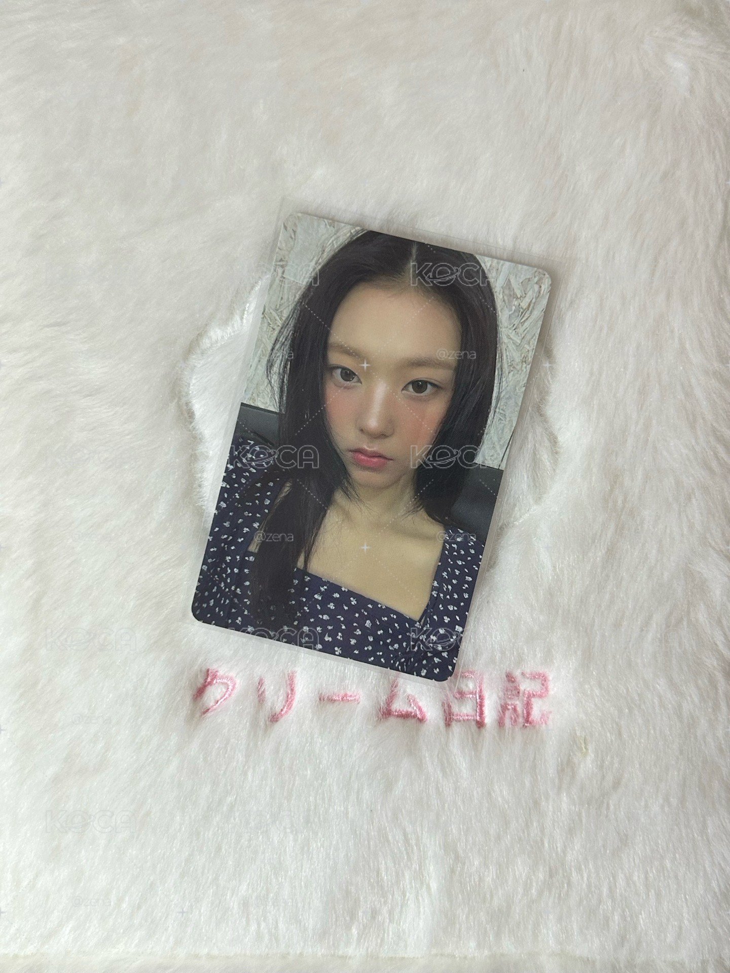✨快閃卡包貓