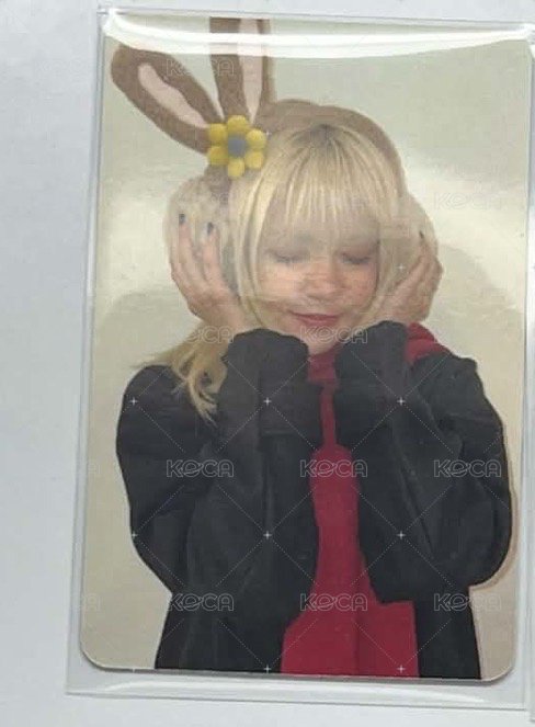 lily