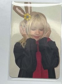 lily