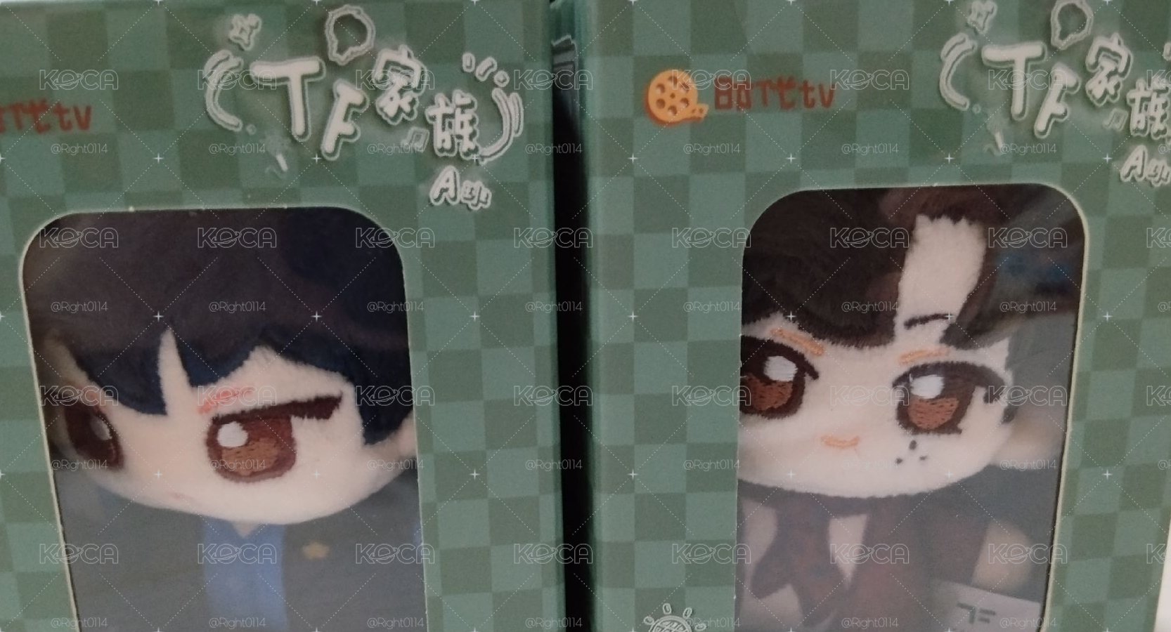 張桂源/左奇函ok娃 現貨