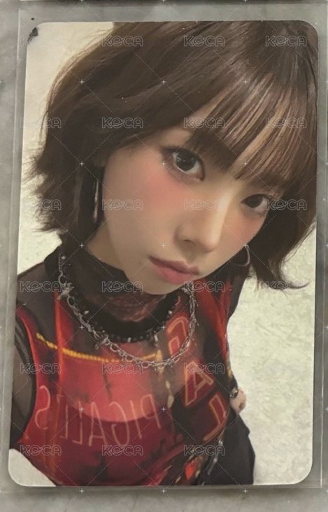 am紅衣柚