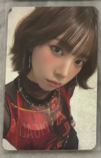 am紅衣柚