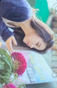 頌樂感性 CD ver. 專輯卡 