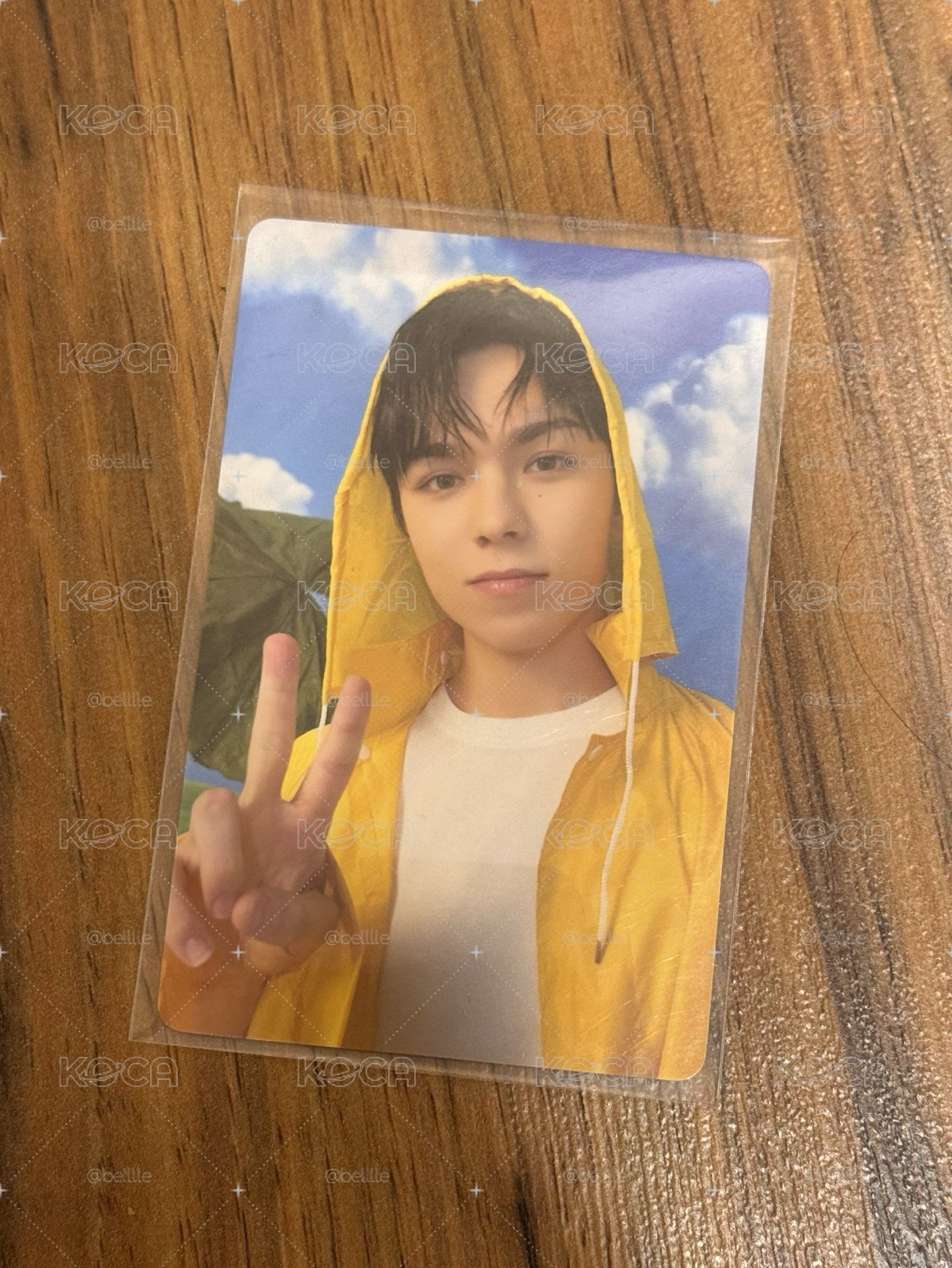 Seventeen Vernon🐻‍❄️ㅣ迷11 克拉盤 專卡