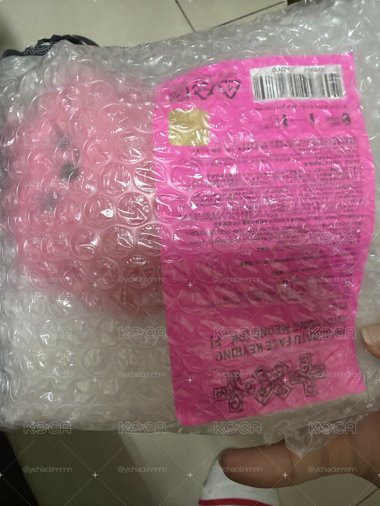 火龍果彬