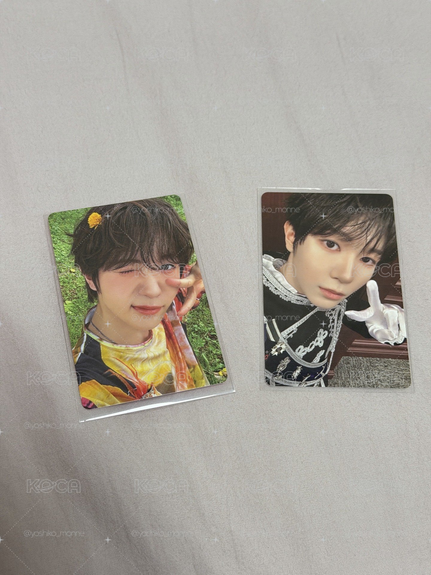 小遼の雙面模樣🪽是彩色小狗也是高冷王子💚