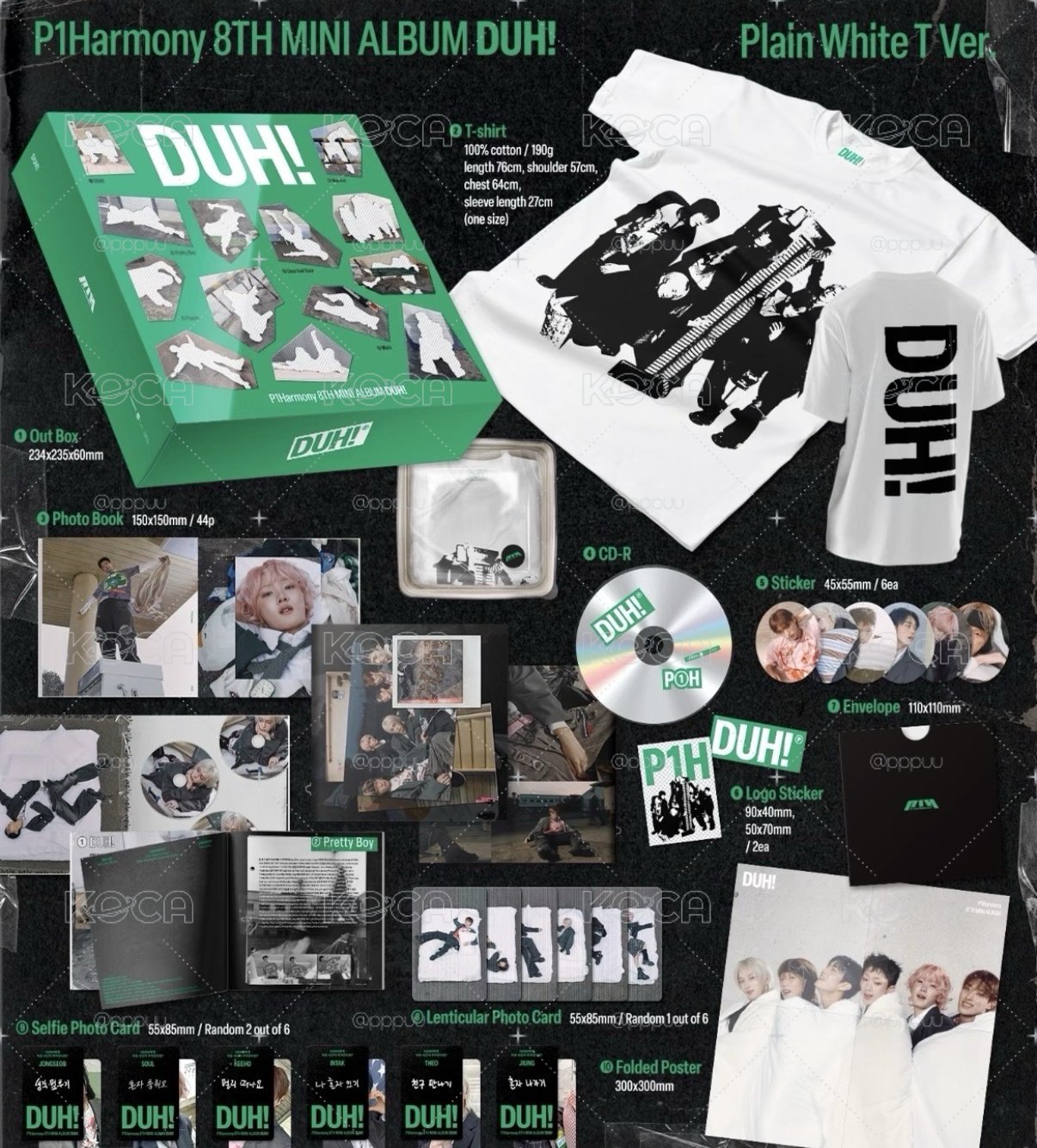 DUH 專輯 Plain White T Ver.