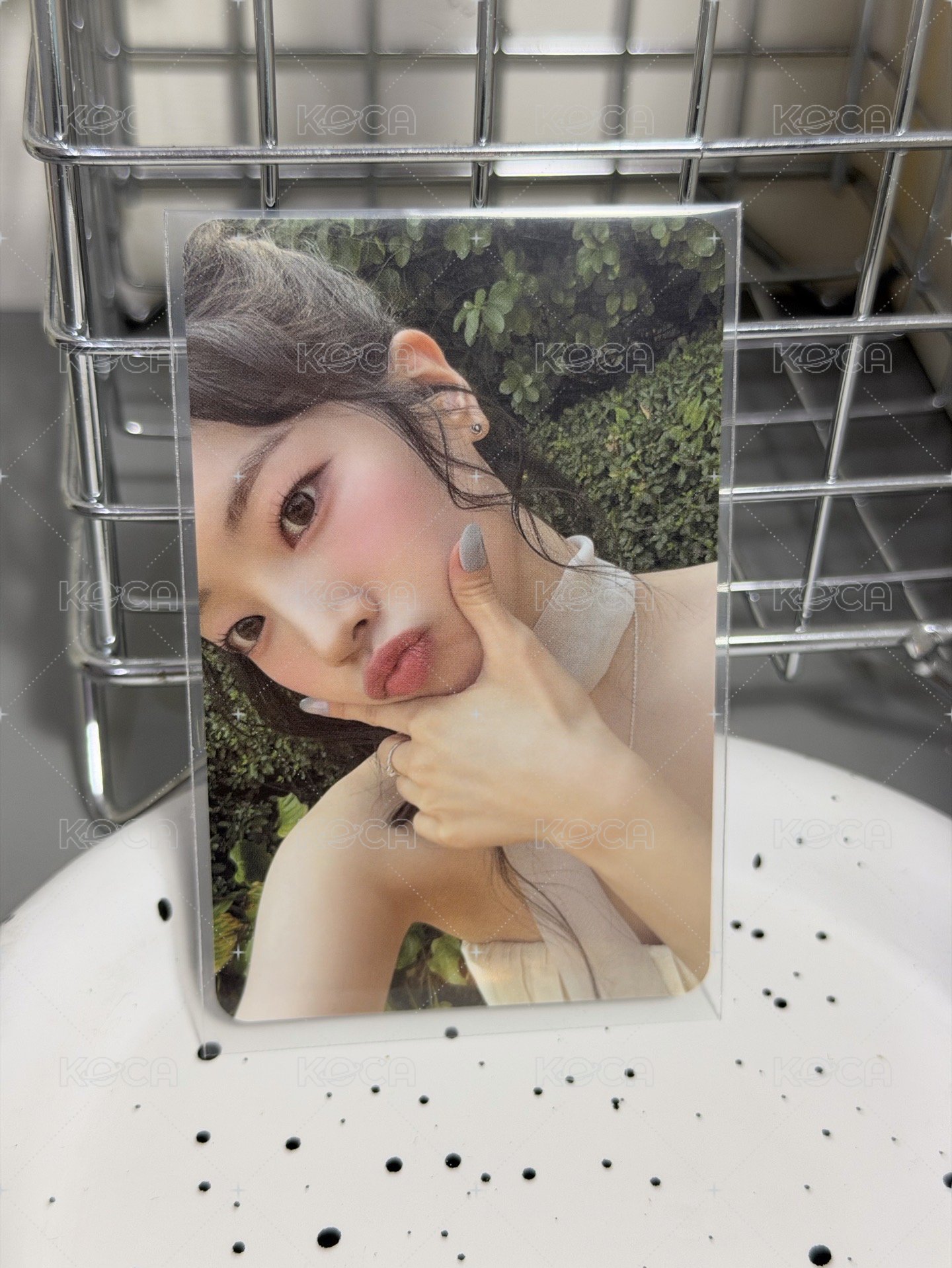 多賢