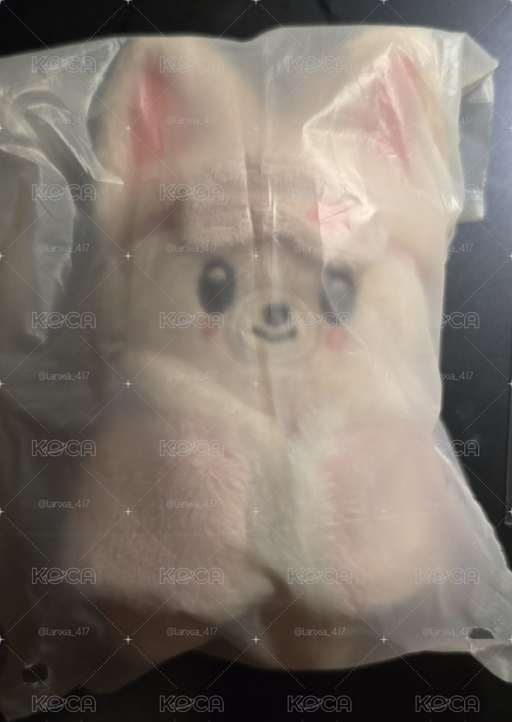 寅六期FM娃