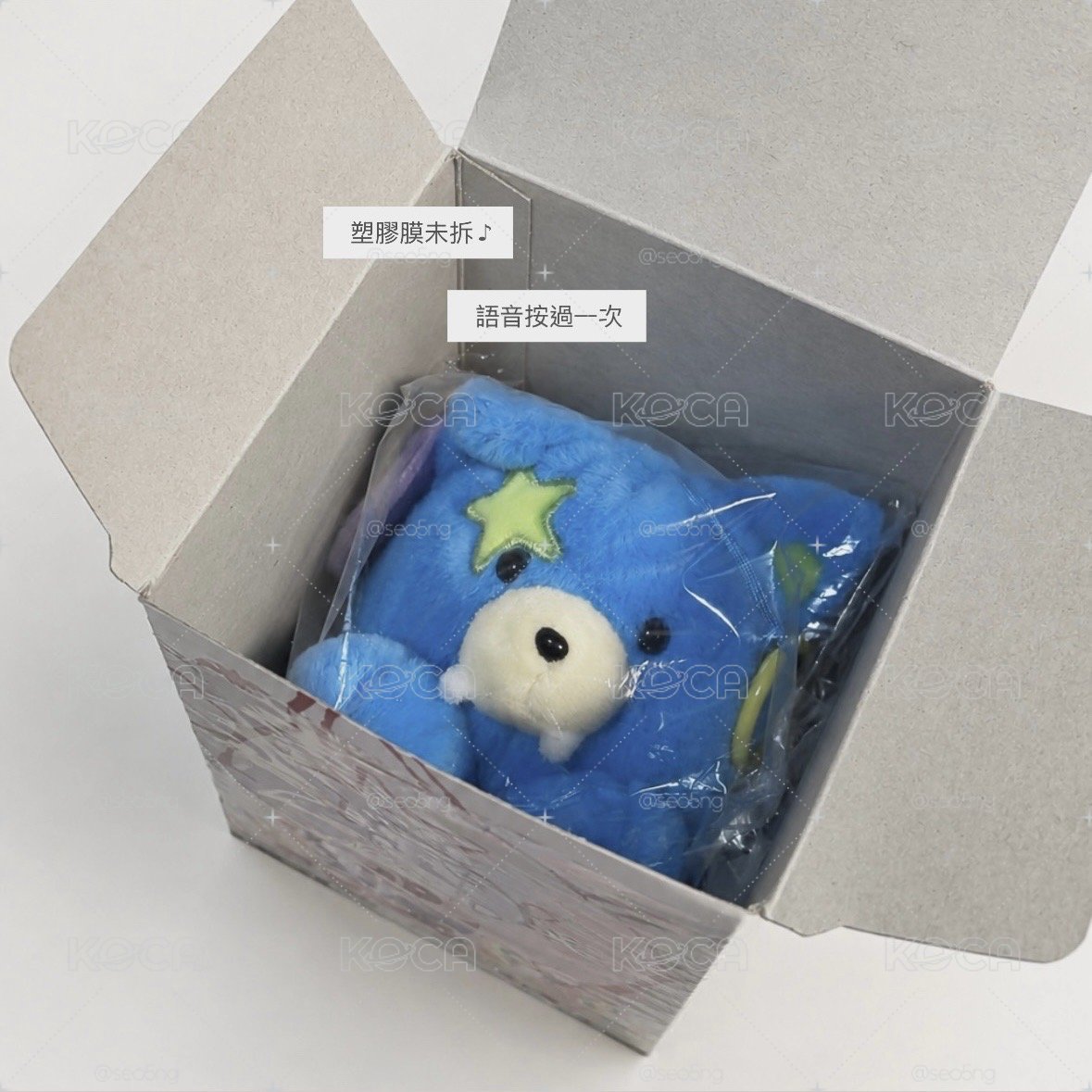 # 蝙蝠豬綜星