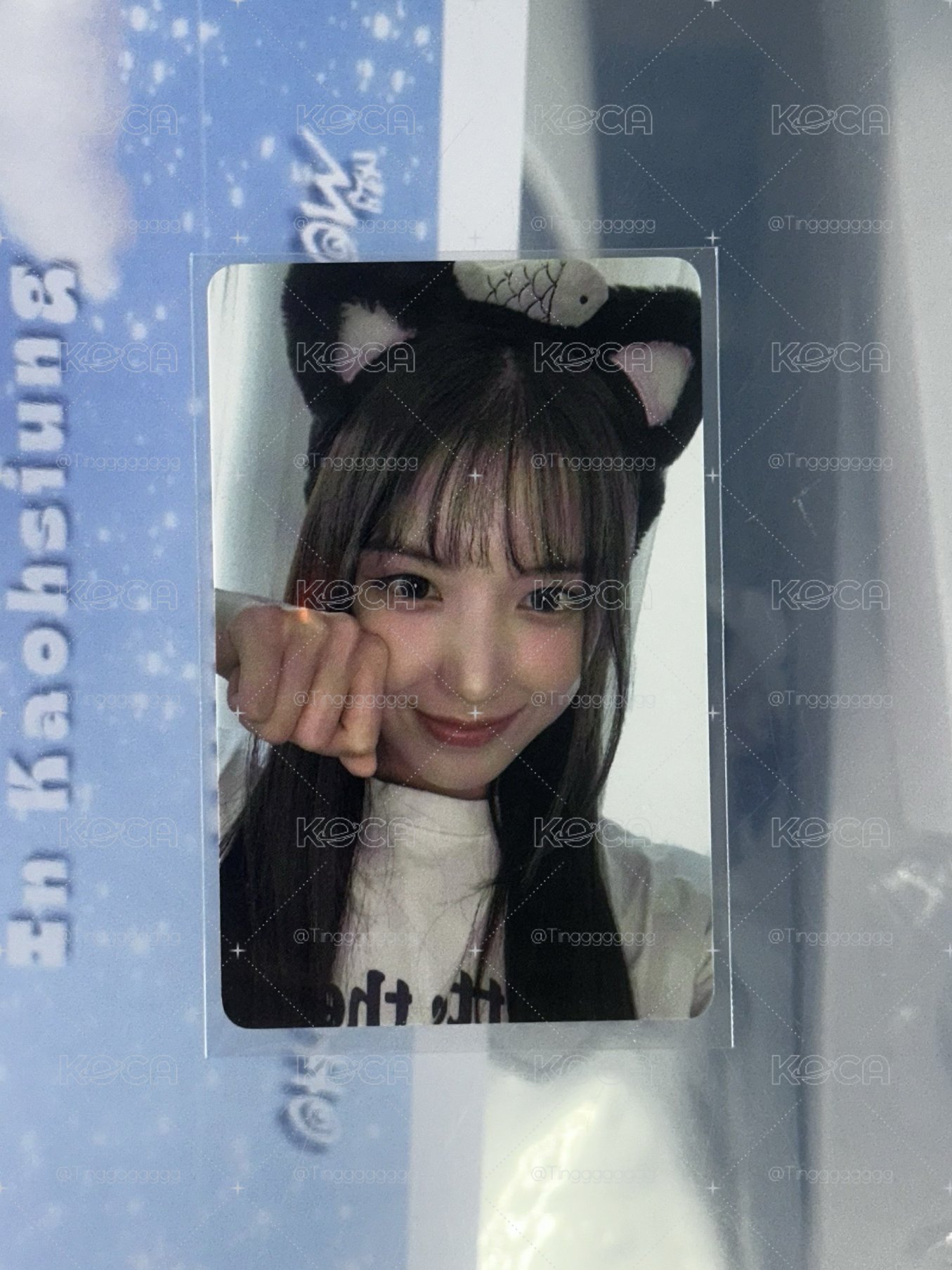 NMIXX JIWOO 簽售卡 小貓友