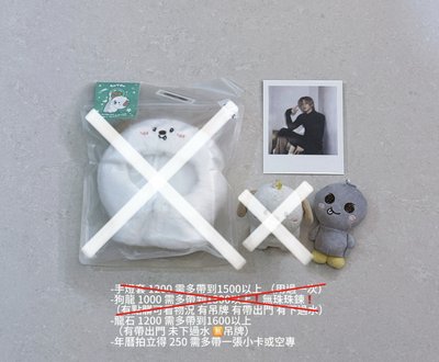 龍石原皮、安年曆拍立得
