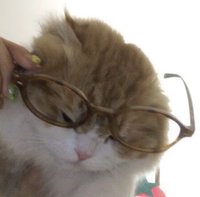 유유유유밍