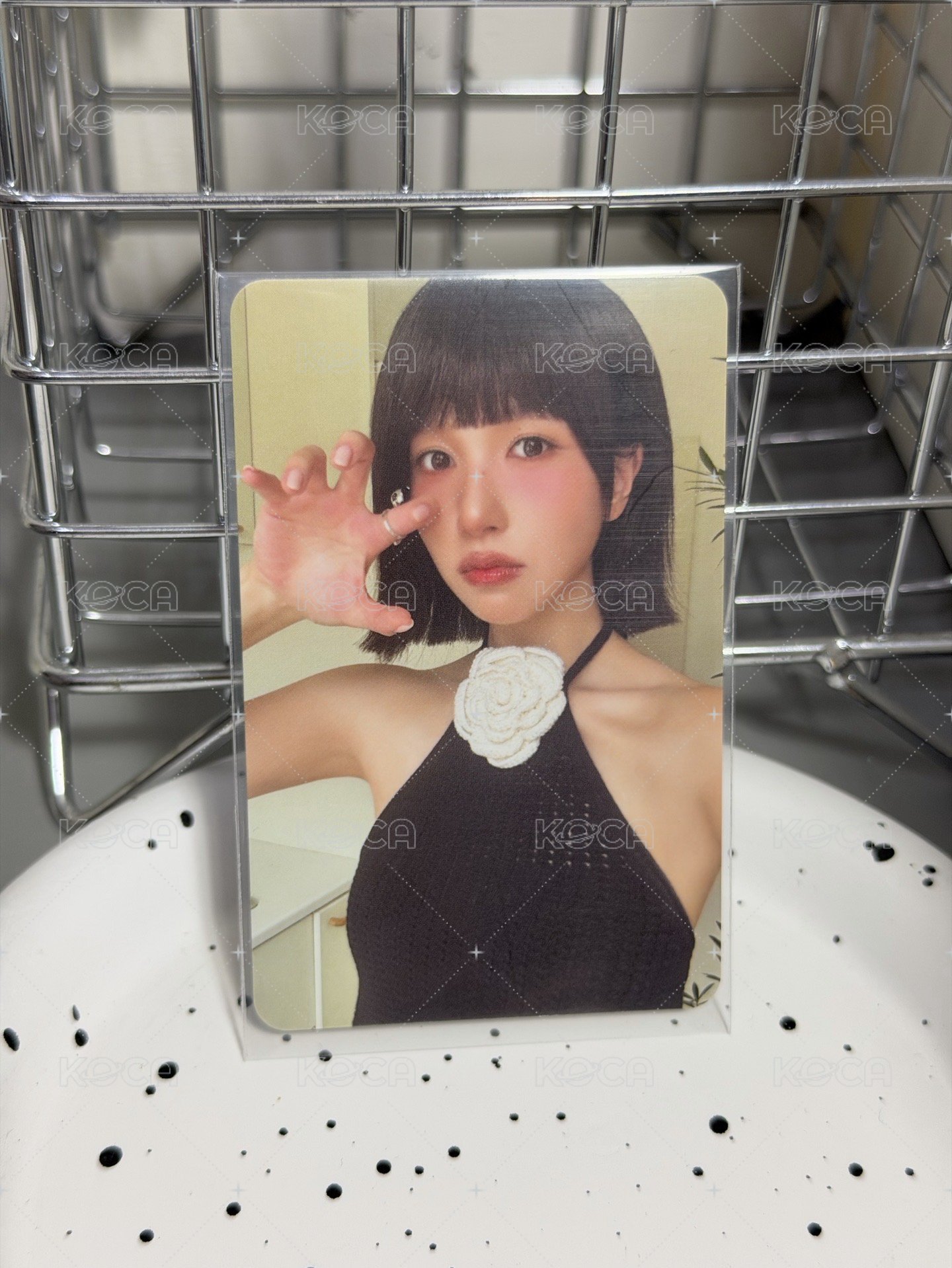 貓抓南