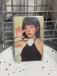 貓抓南
