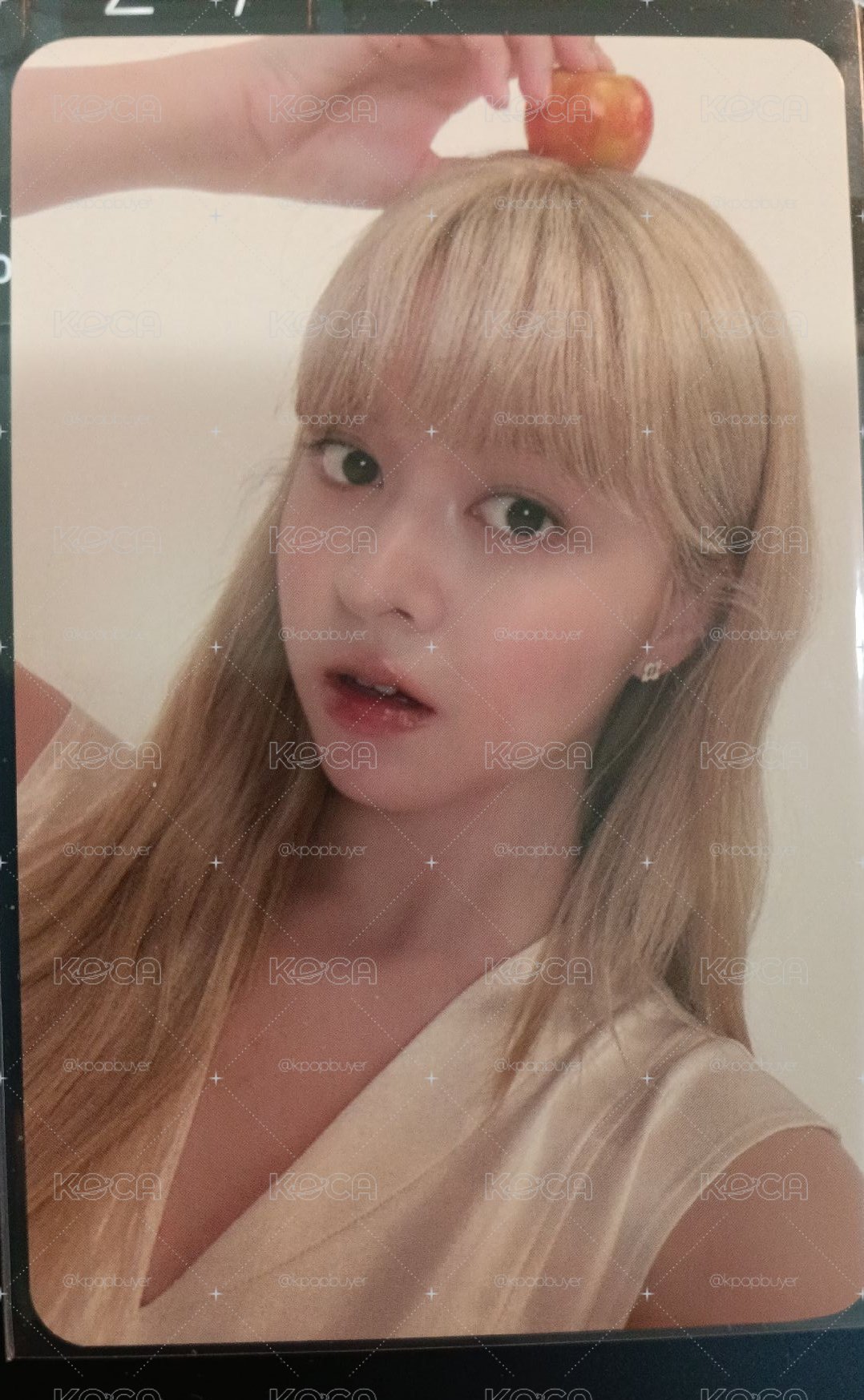Lily MP特典卡