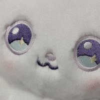 奧蘿拉