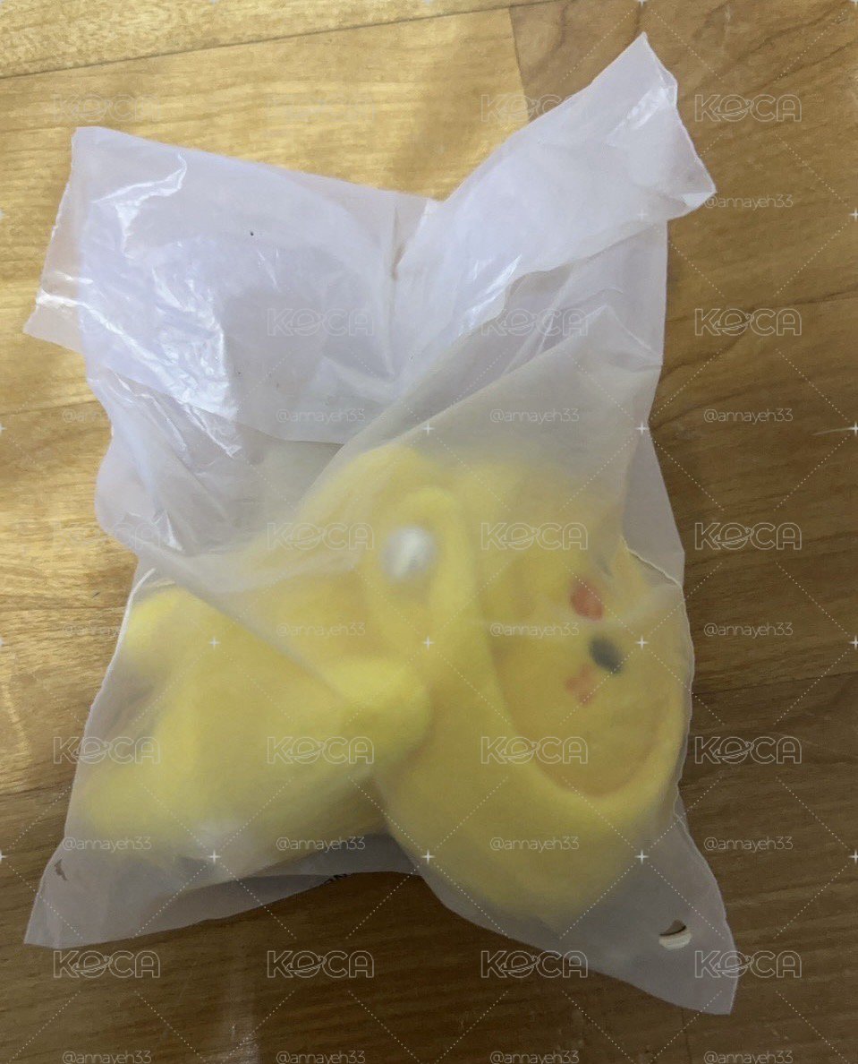 🐢 菲趴娃