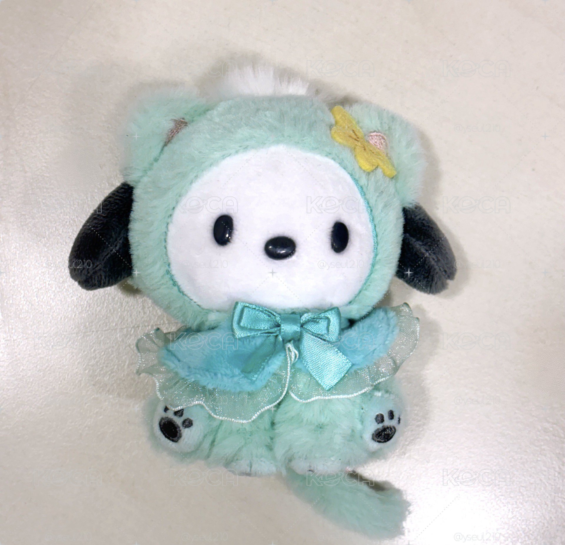 🖤貓咪帕恰狗🖤