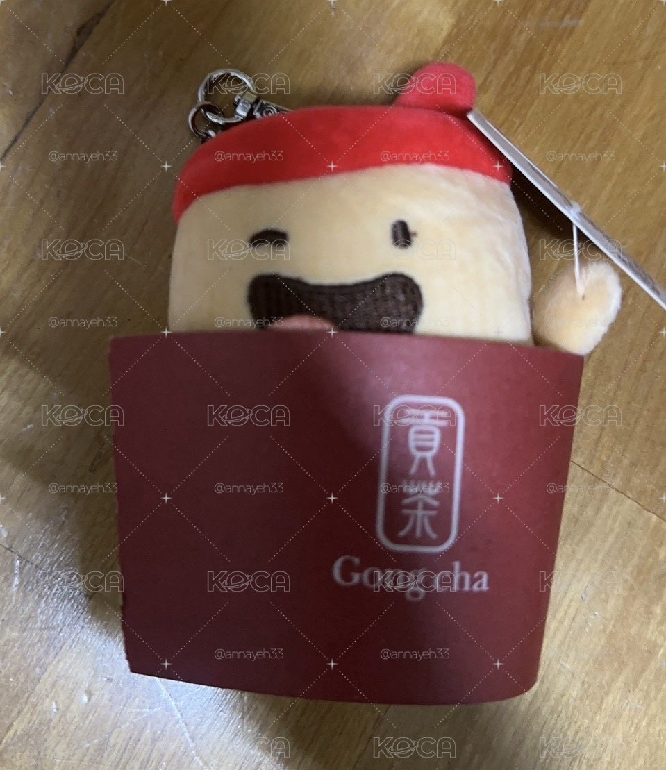 🐢 菲娃