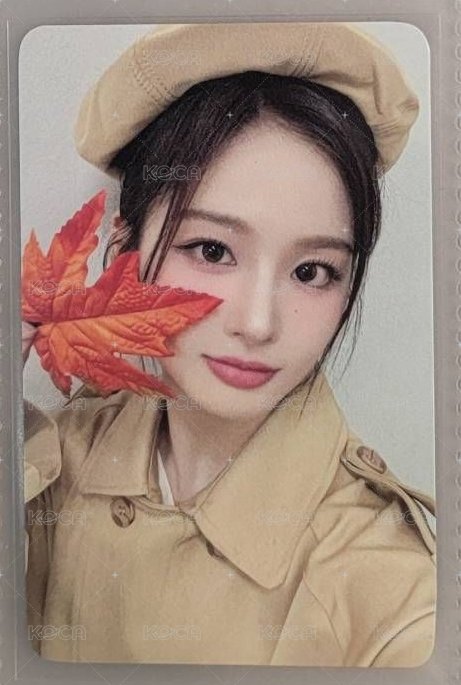楓葉薛