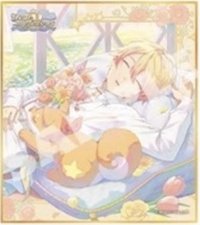 色紙 vol.58 B 色紙 wl2花後