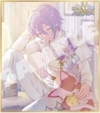 色紙 vol.58 B 色紙 wl2花後