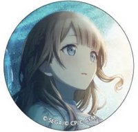 細閃 vol.5 A 徽章 fes 花後