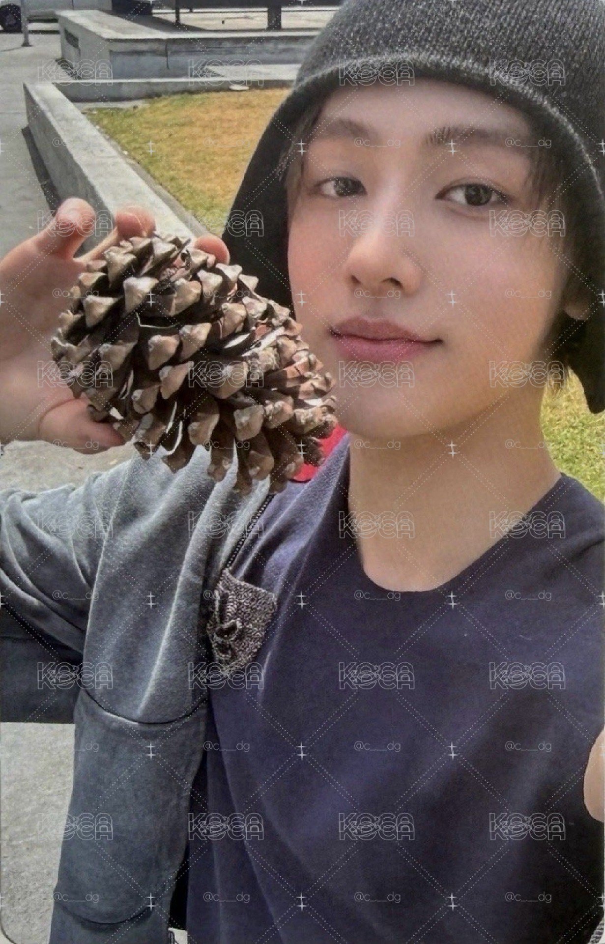 玹松果