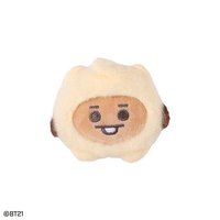 BT21 BANDAI 娃娃 大頭毛絨夾