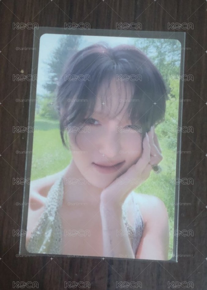 4WARD 4flowers ver.專卡_莎