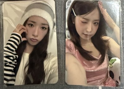Apink週邊小卡 普美、南珠