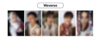 迷二 Weverse wvs 3.0 幸運卡