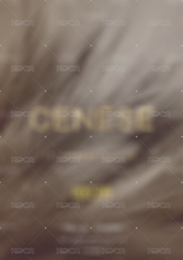 CENESE 隨機卡 星曜 背面