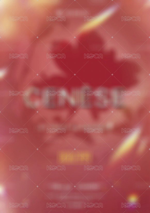 CENESE 隨機卡 星曜 背面
