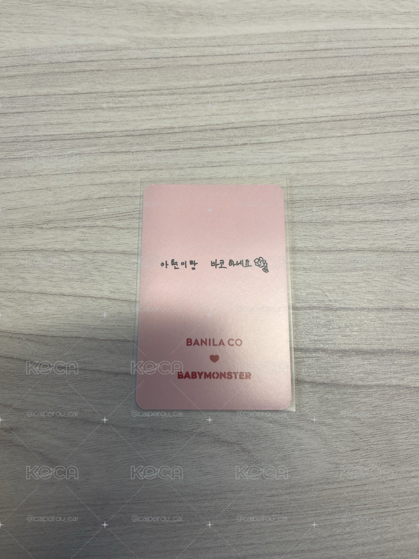 BANILA CO 1.0 代言賢