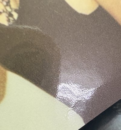 THE ALBUM