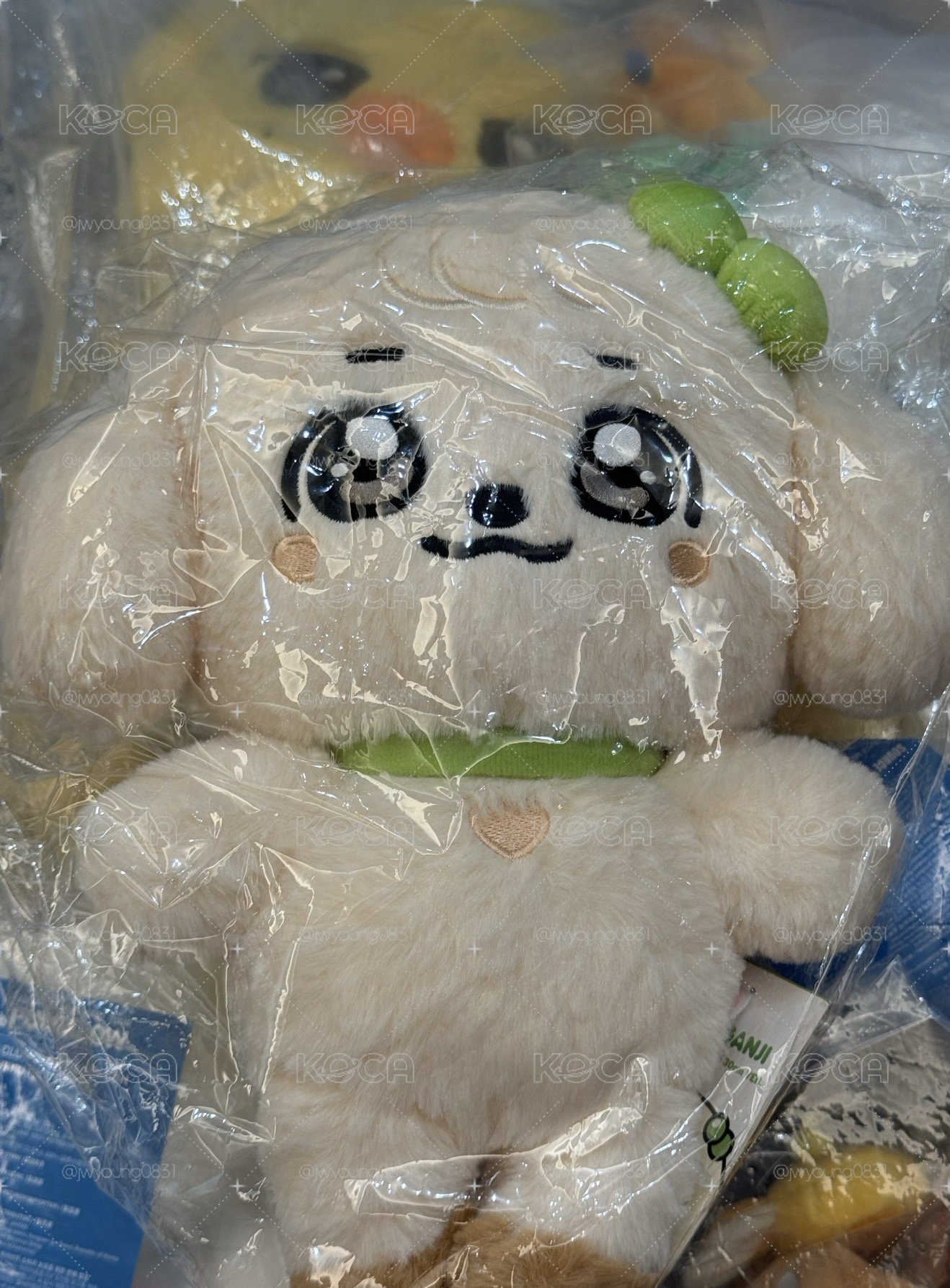 安 30cm 大娃 不含小卡