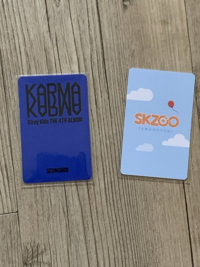 昇玟小卡 預售禮 寵物雞卡