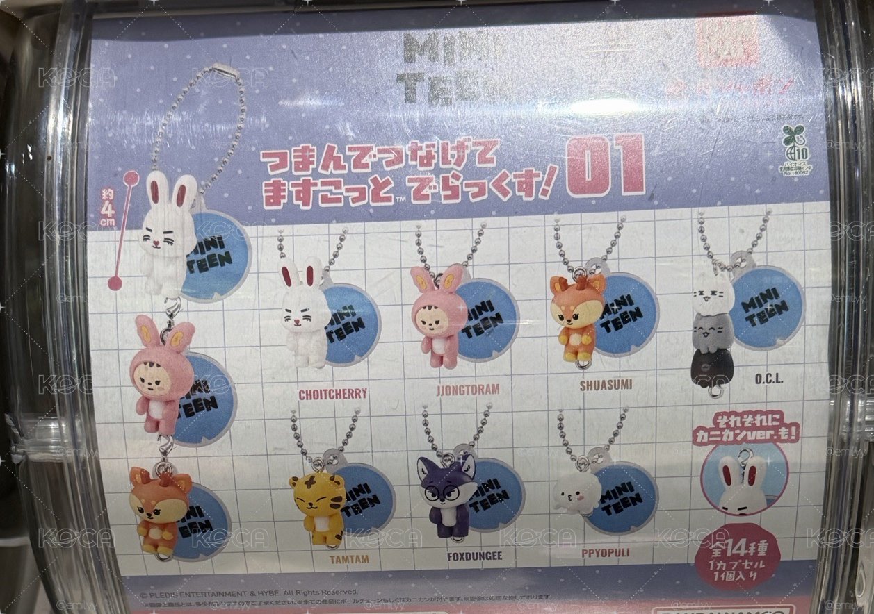 miniteen 扭蛋 哲勳俊榮（勿下）