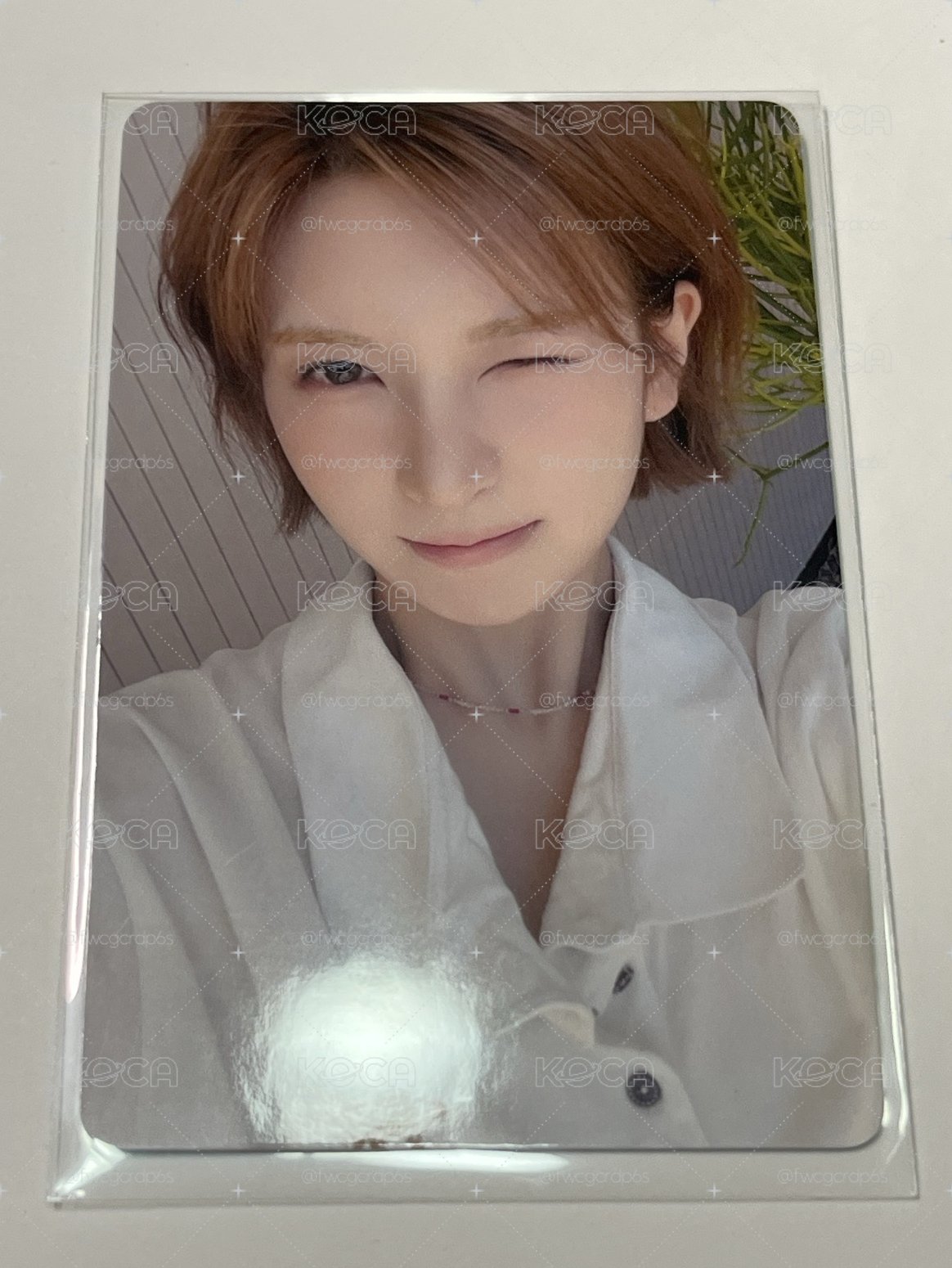 裴、薛 星光卡⭐️