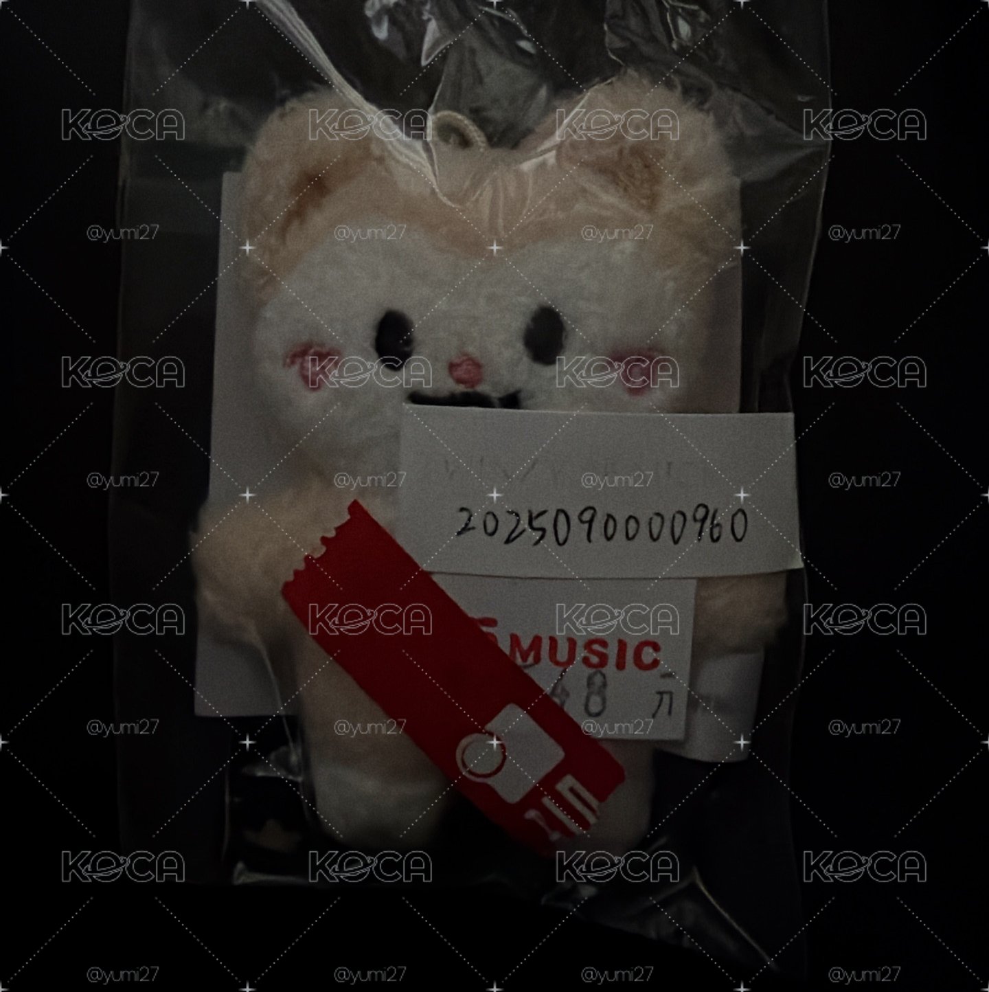 2025 FM jyp TWINZY mini 迷你 7cm 潦草 吊娃 RyeoWoo