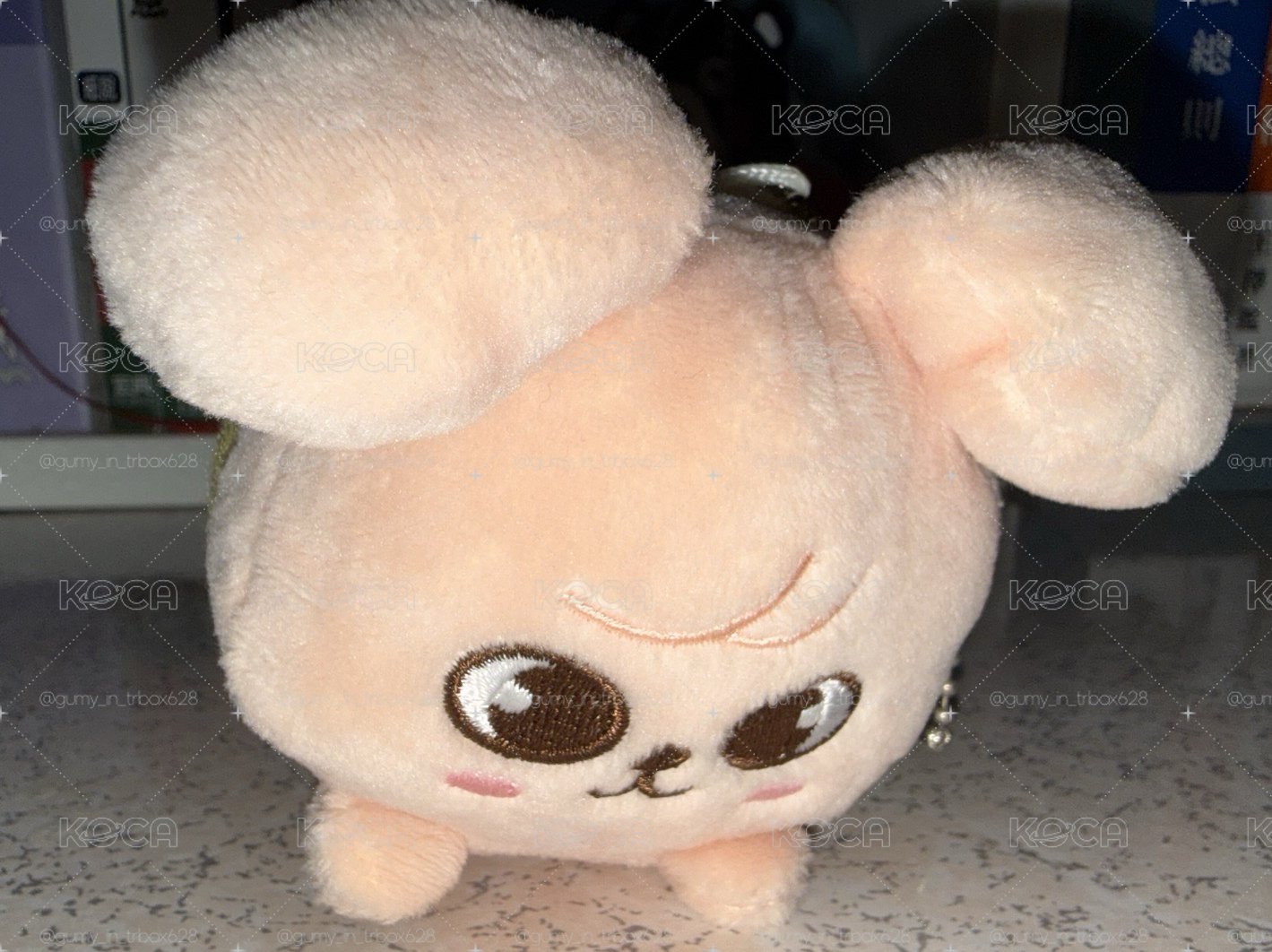SKZOO PUPPYM 趴娃