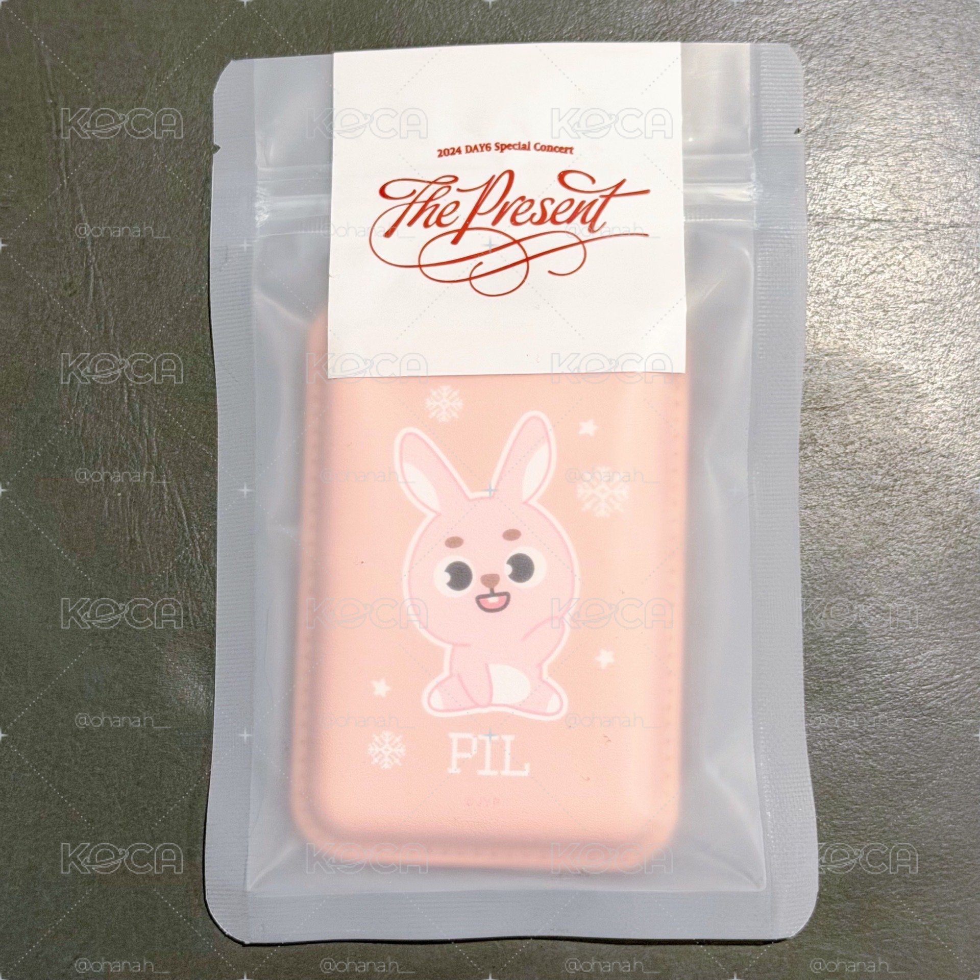 24聖誕控 手機磁吸卡套 PIL