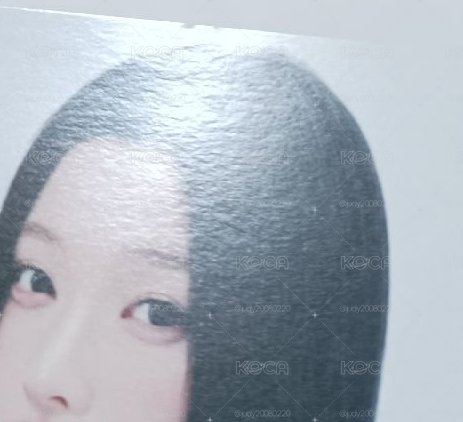相片 明信片 羽 兩張
