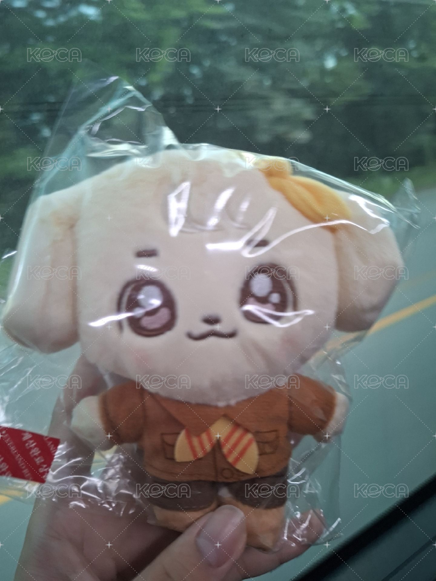安（需多帶滿額）