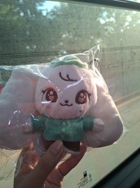 員（需多帶滿額）