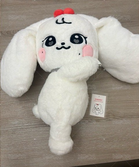 員娃（無背袋 吊牌還在）