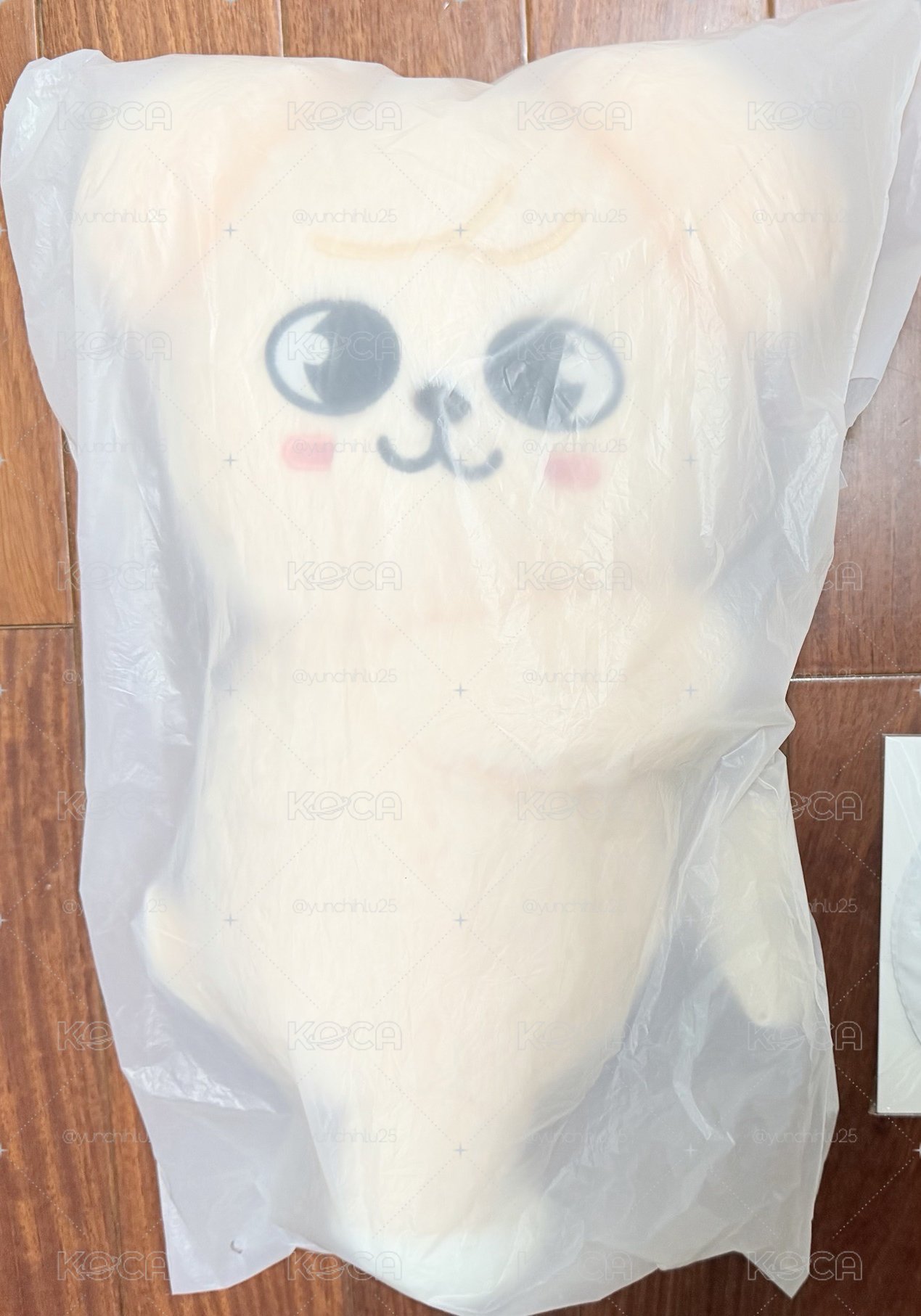 全新未拆側背玟